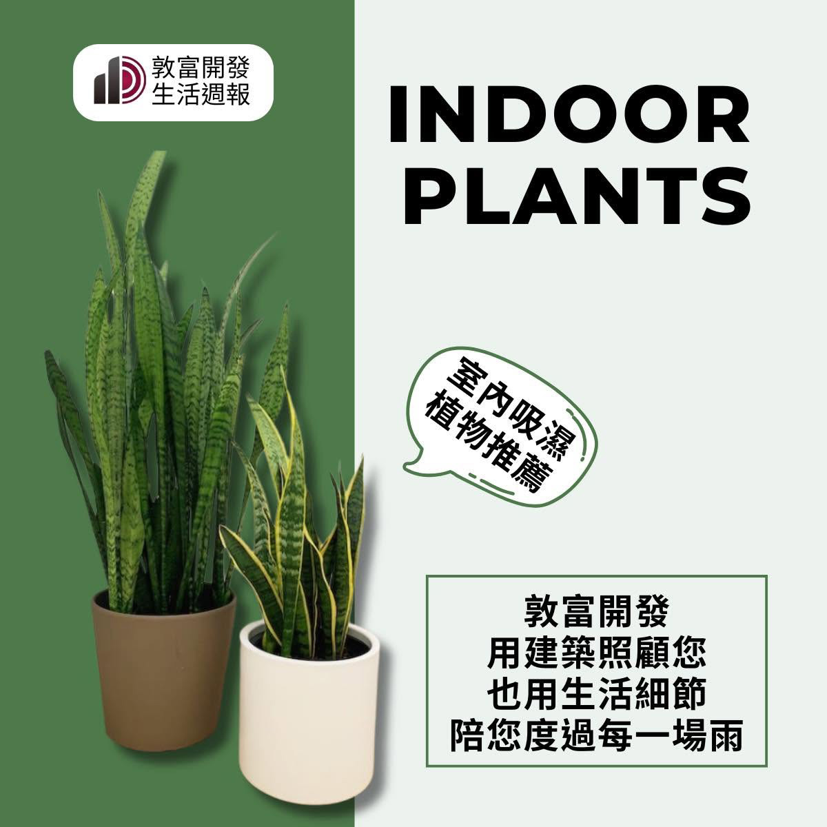 消息圖片