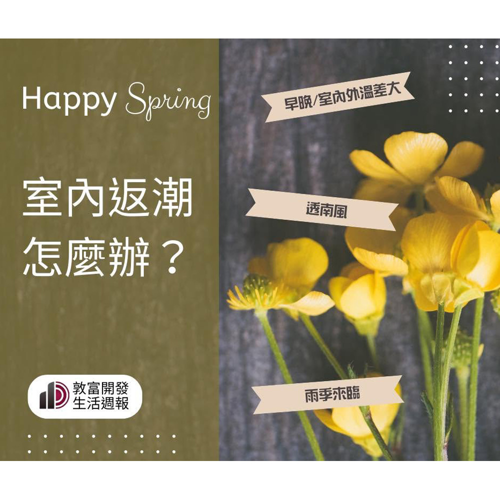 消息圖片